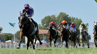 Sampson (NZ) claims the 2018 Listed Marton Cup. Photo: Race Images PNth.